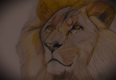 Regard de lion.